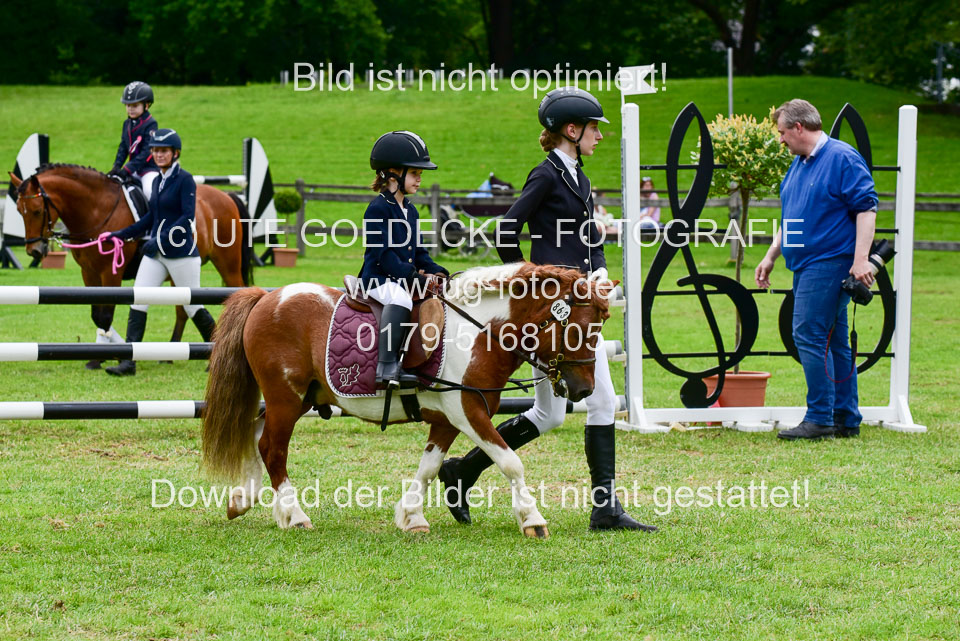16062019---Führzügelwettbewerb-_102.jpg