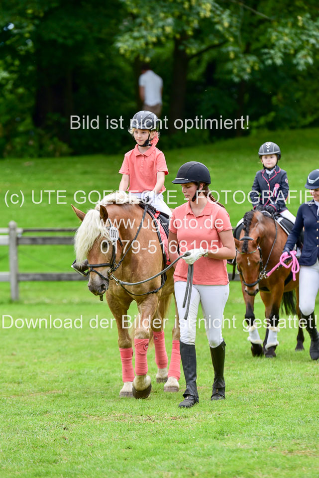 16062019---Führzügelwettbewerb-_106.jpg