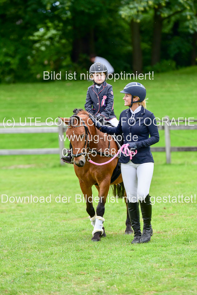16062019---Führzügelwettbewerb-_108.jpg