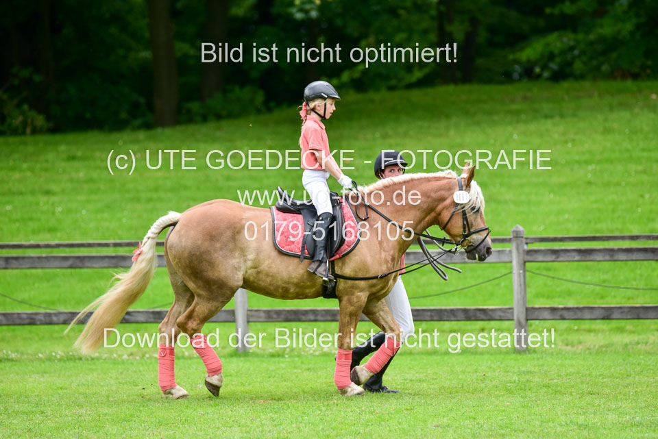 16062019---Führzügelwettbewerb-_110.jpg