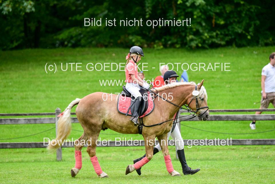 16062019---Führzügelwettbewerb-_111.jpg