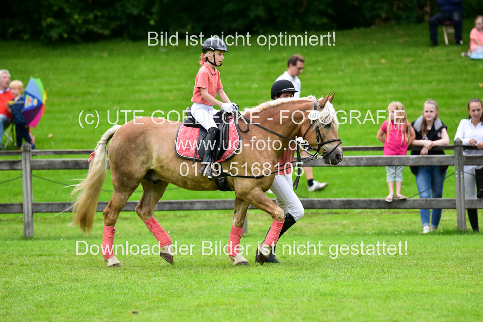 16062019---Führzügelwettbewerb-_112.jpg
