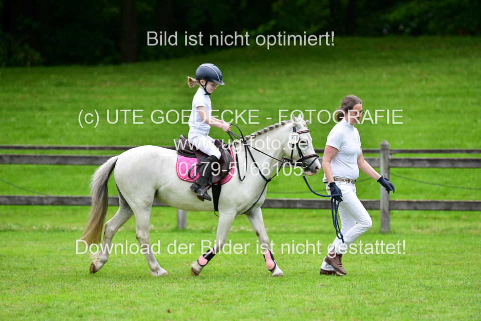 16062019---Führzügelwettbewerb-_117.jpg
