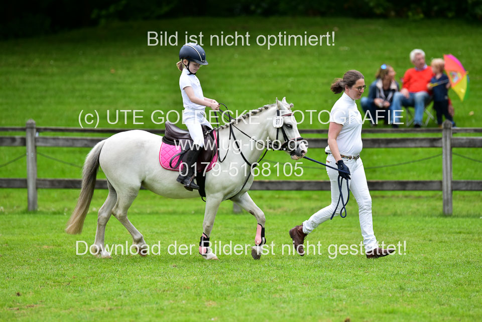 16062019---Führzügelwettbewerb-_118.jpg