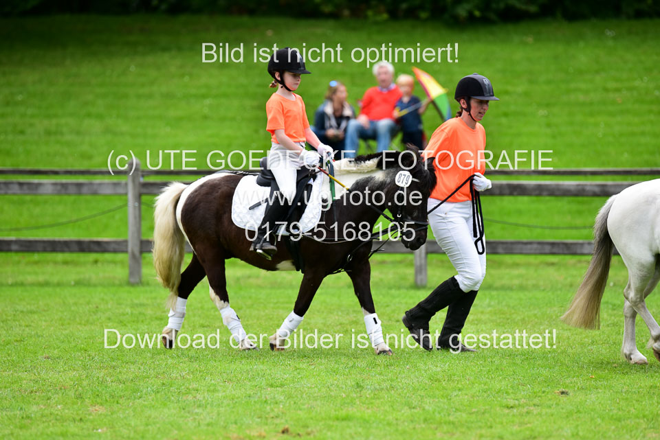 16062019---Führzügelwettbewerb-_121.jpg