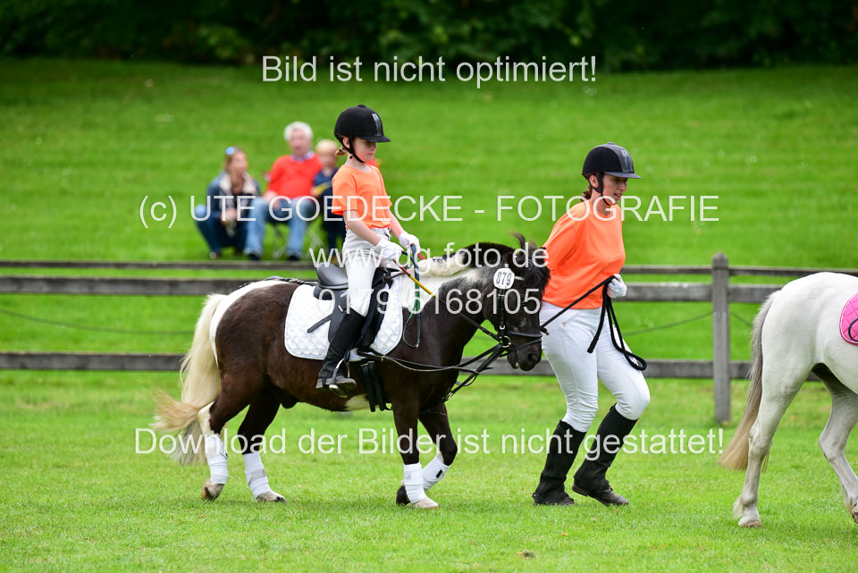 16062019---Führzügelwettbewerb-_122.jpg