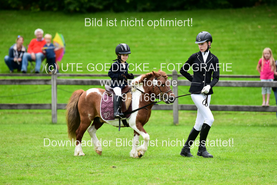 16062019---Führzügelwettbewerb-_124.jpg