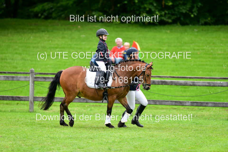 16062019---Führzügelwettbewerb-_128.jpg
