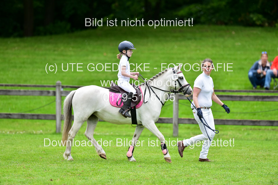 16062019---Führzügelwettbewerb-_130.jpg