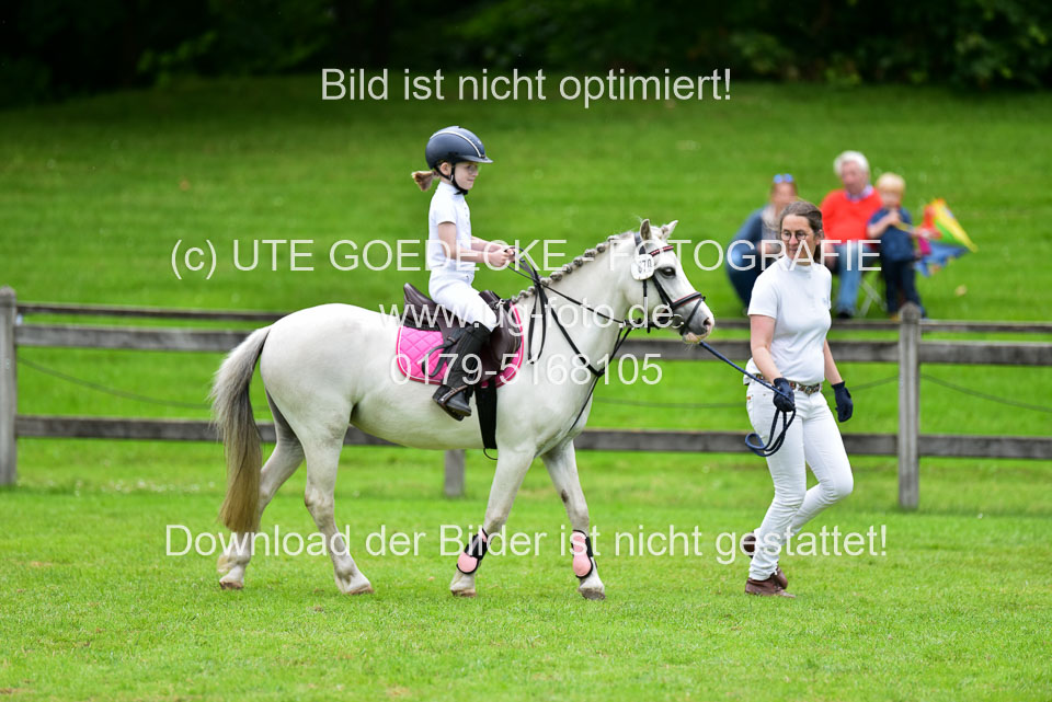 16062019---Führzügelwettbewerb-_131.jpg