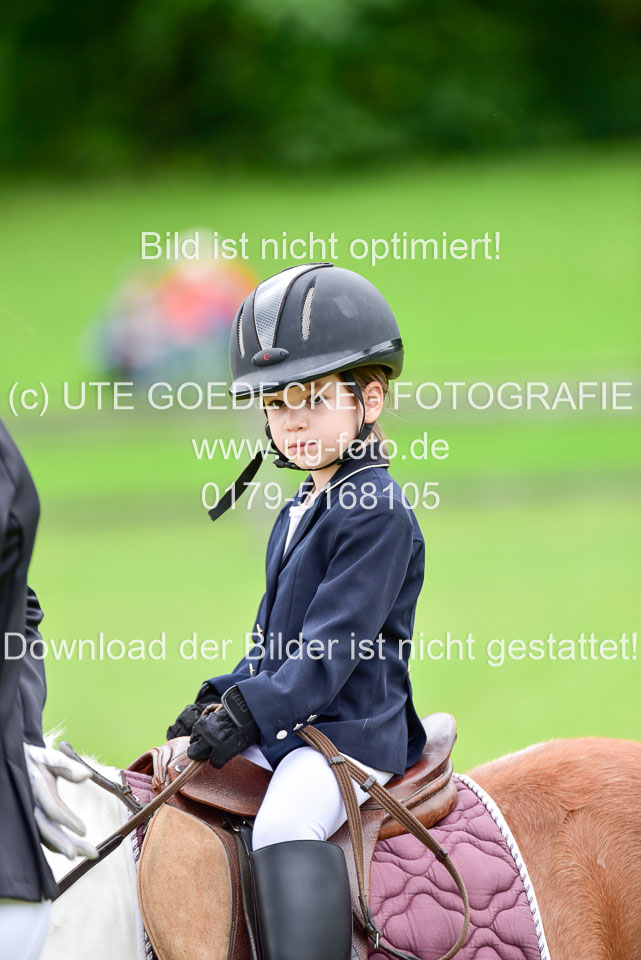 16062019---Führzügelwettbewerb-_135.jpg
