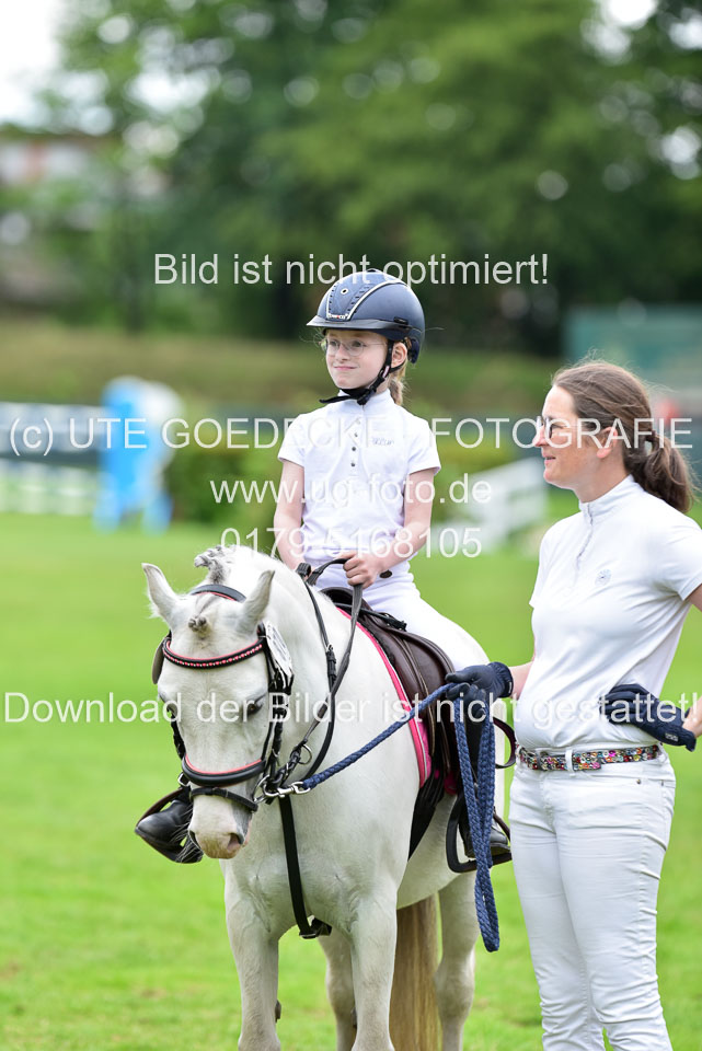 16062019---Führzügelwettbewerb-_140.jpg