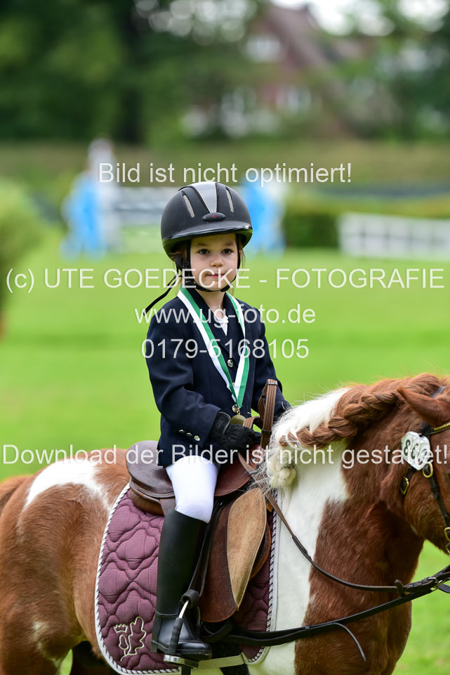 16062019---Führzügelwettbewerb-_155.jpg
