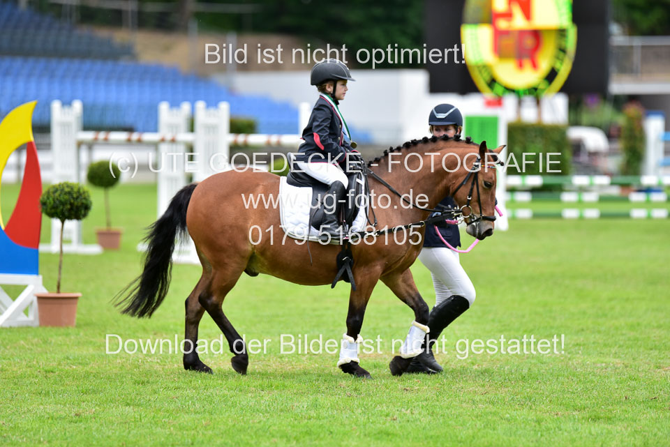 16062019---Führzügelwettbewerb-_161.jpg