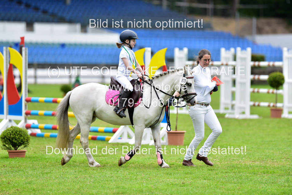 16062019---Führzügelwettbewerb-_163.jpg