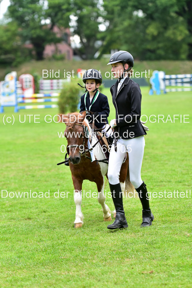 16062019---Führzügelwettbewerb-_173.jpg