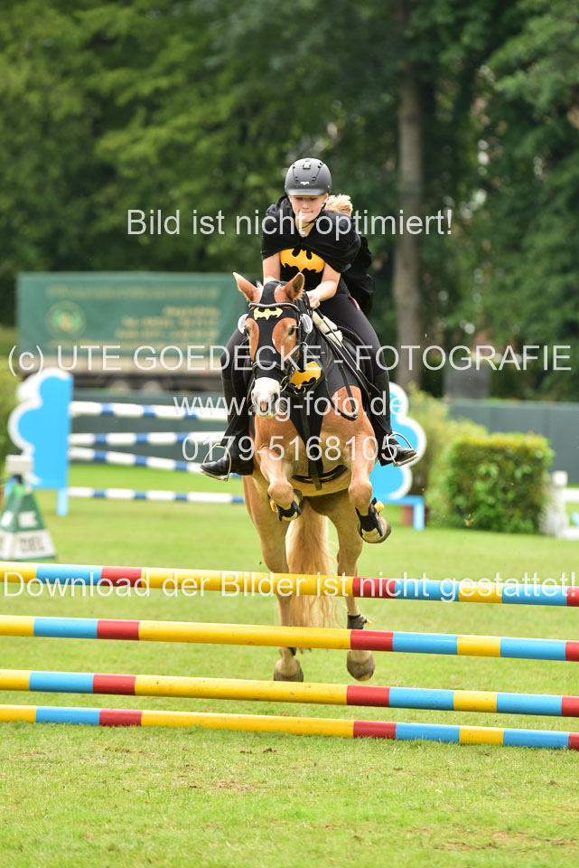 16062019---Kostümspringen-_134.jpg