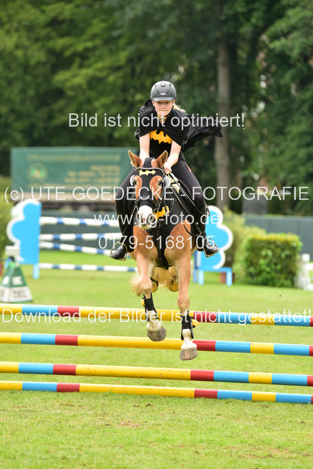 16062019---Kostümspringen-_135.jpg