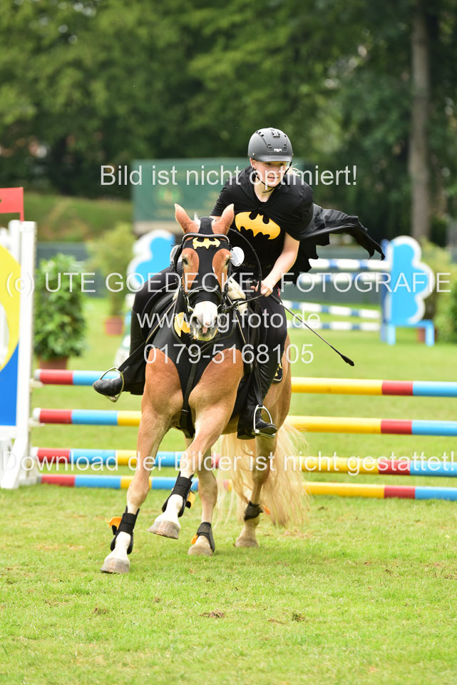 16062019---Kostümspringen-_136.jpg