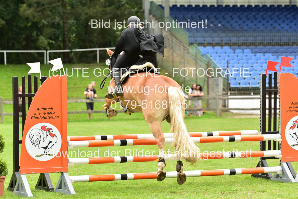 16062019---Kostümspringen-_140.jpg