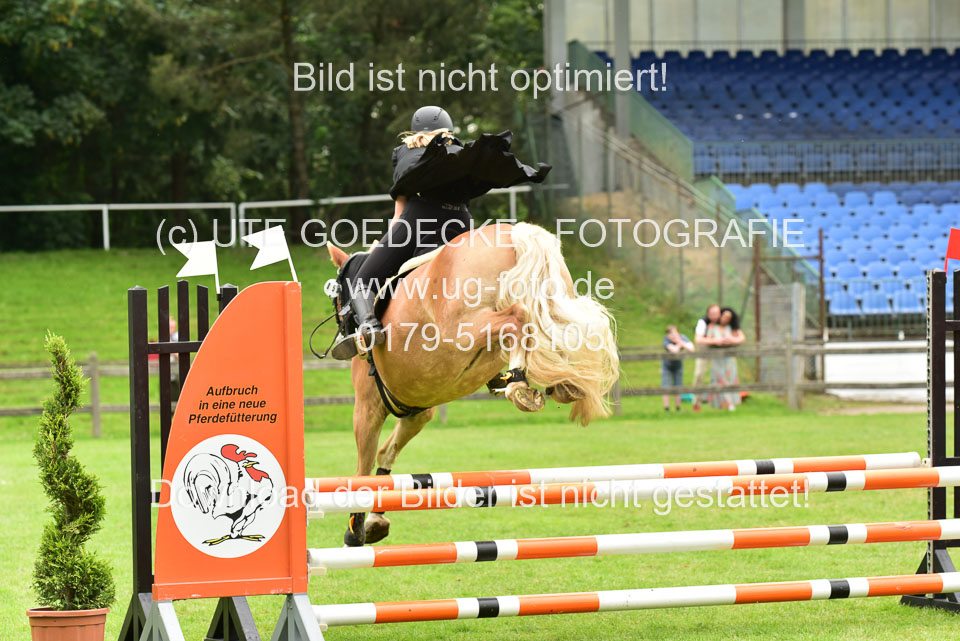 16062019---Kostümspringen-_141.jpg
