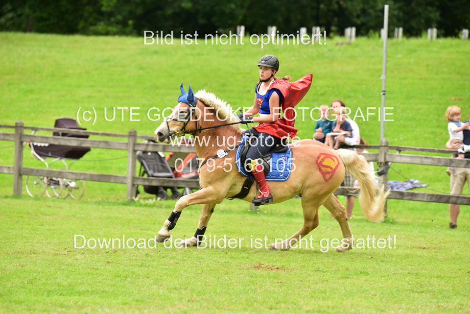16062019---Kostümspringen-_150.jpg