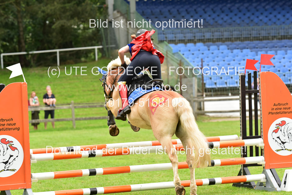 16062019---Kostümspringen-_154.jpg