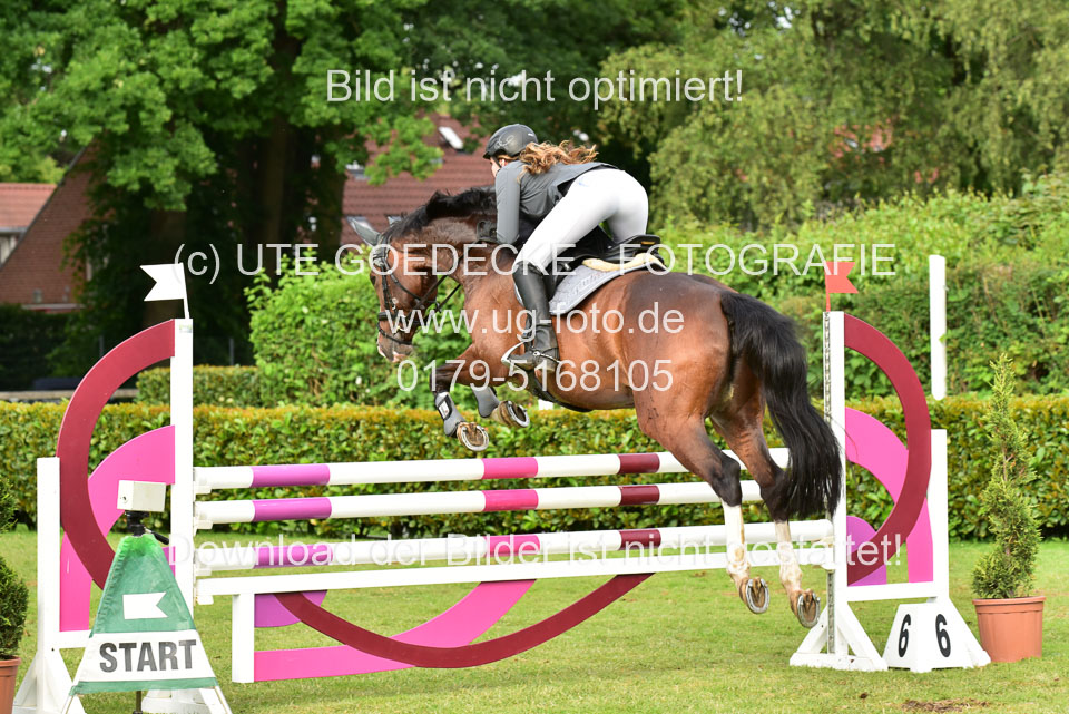 16062019--Springel-Kl-L_26.jpg