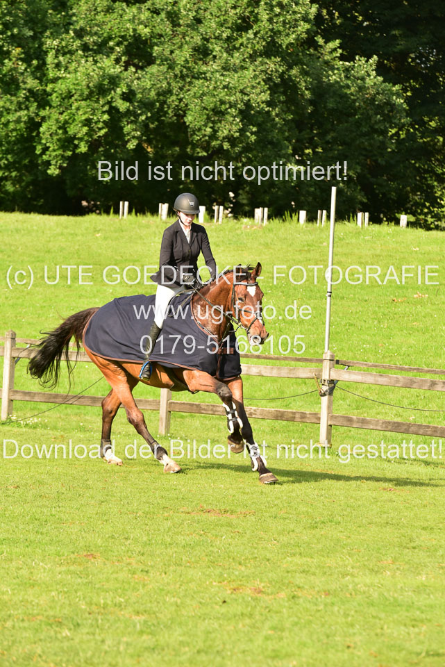 16062019--Springel-Kl-L_75.jpg