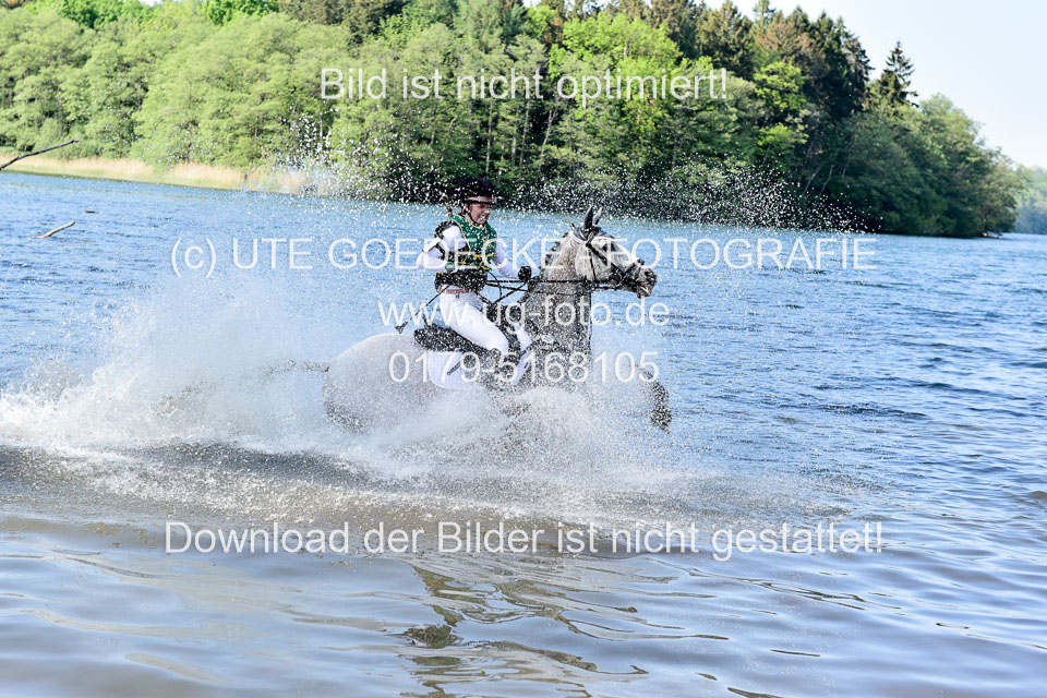 19052019-CCI-Gelände-434_.jpg