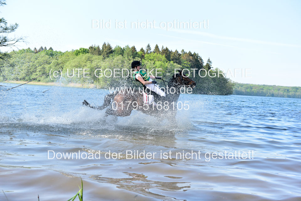 19052019-CCI-Gelände-504_.jpg