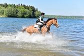 CCI** Gelände