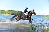 CCI** Gelände