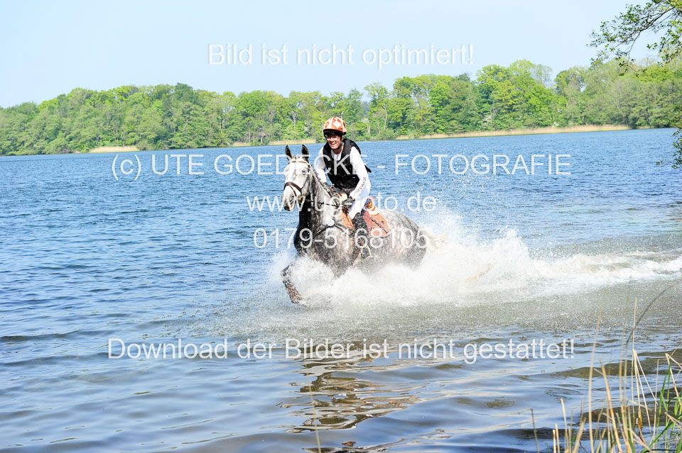 Geländepferde-Hornsmühlen-_005.jpg