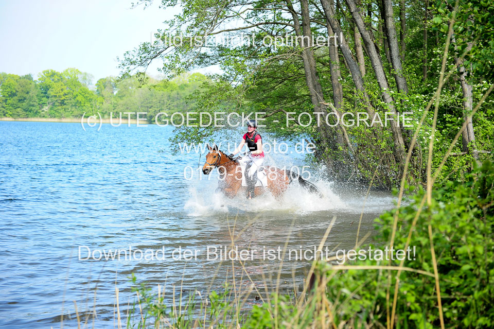 Geländepferde-Hornsmühlen-_010.jpg