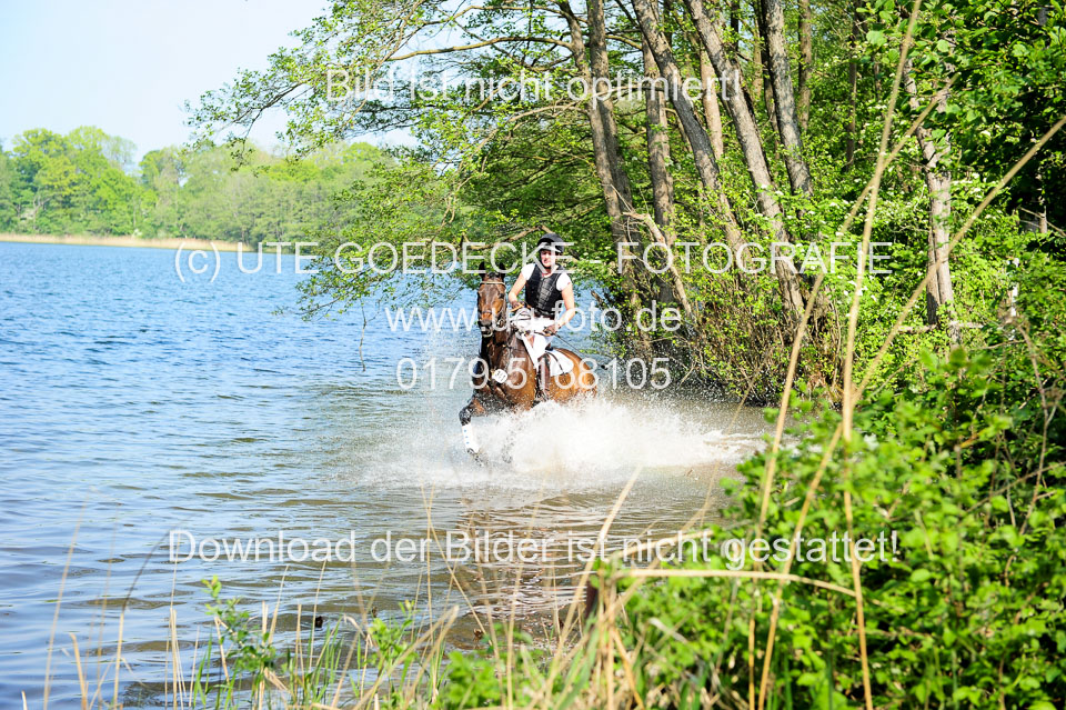 Geländepferde-Hornsmühlen-_015.jpg