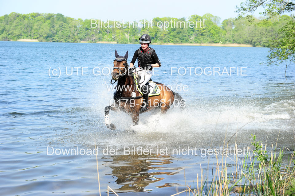 Geländepferde-Hornsmühlen-_031.jpg