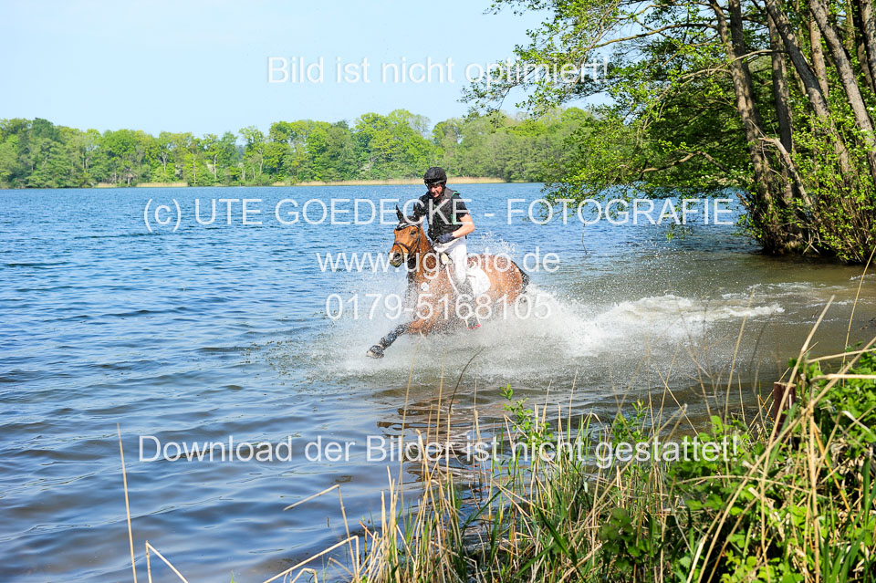 Geländepferde-Hornsmühlen-_036.jpg