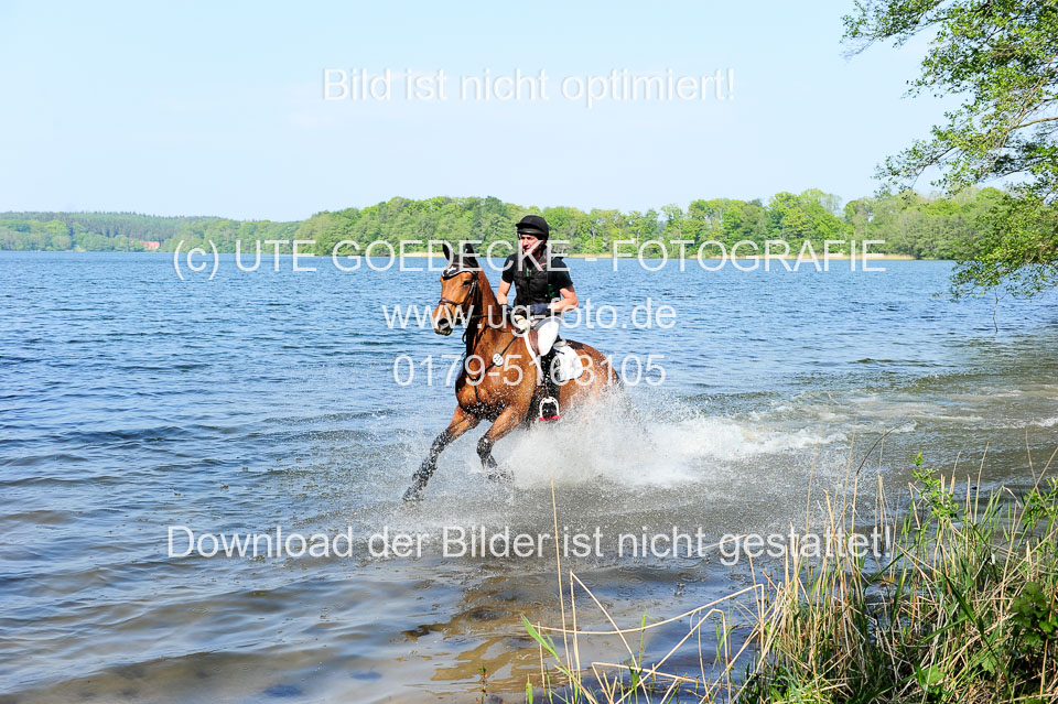 Geländepferde-Hornsmühlen-_038.jpg