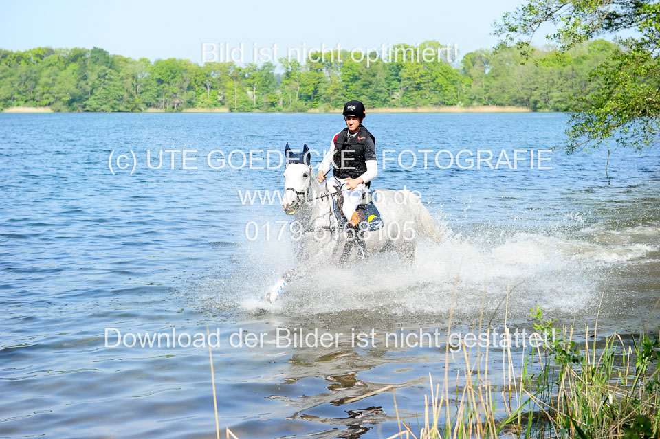 Geländepferde-Hornsmühlen-_049.jpg