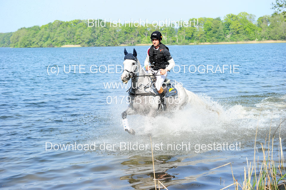 Geländepferde-Hornsmühlen-_050.jpg