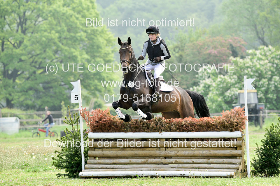 Geländepferde-Hornsmühlen-_074.jpg