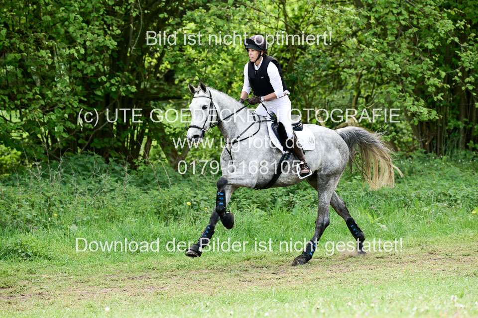 Geländepferde-Hornsmühlen-_082.jpg
