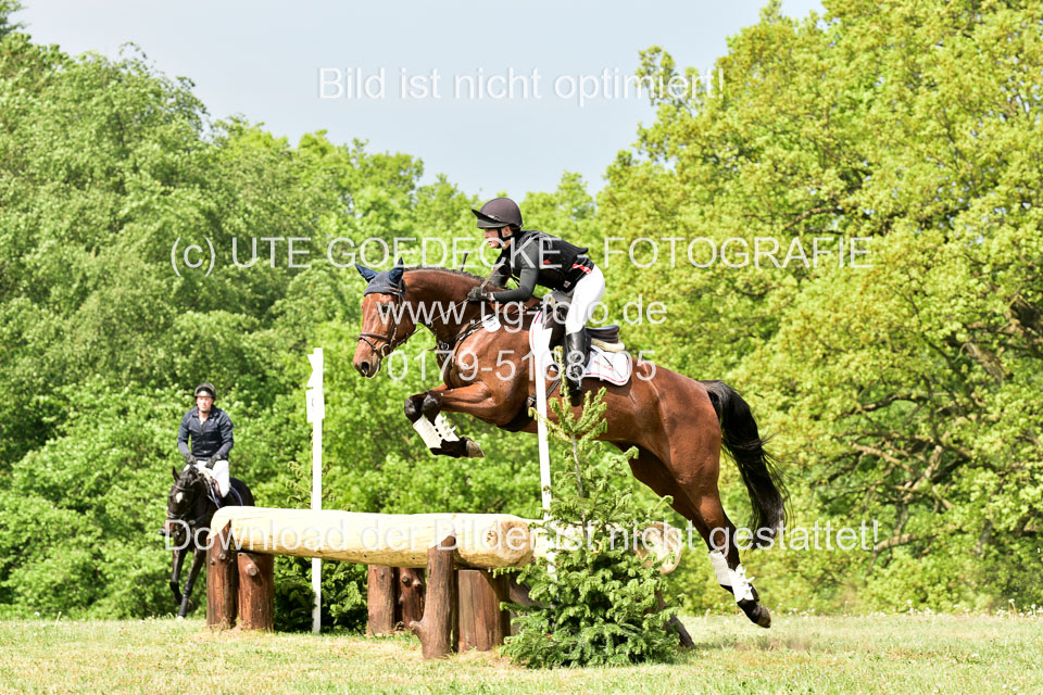 Geländepferde-Hornsmühlen-_088.jpg