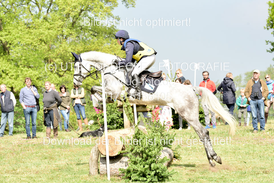 Geländepferde-Hornsmühlen-_089.jpg