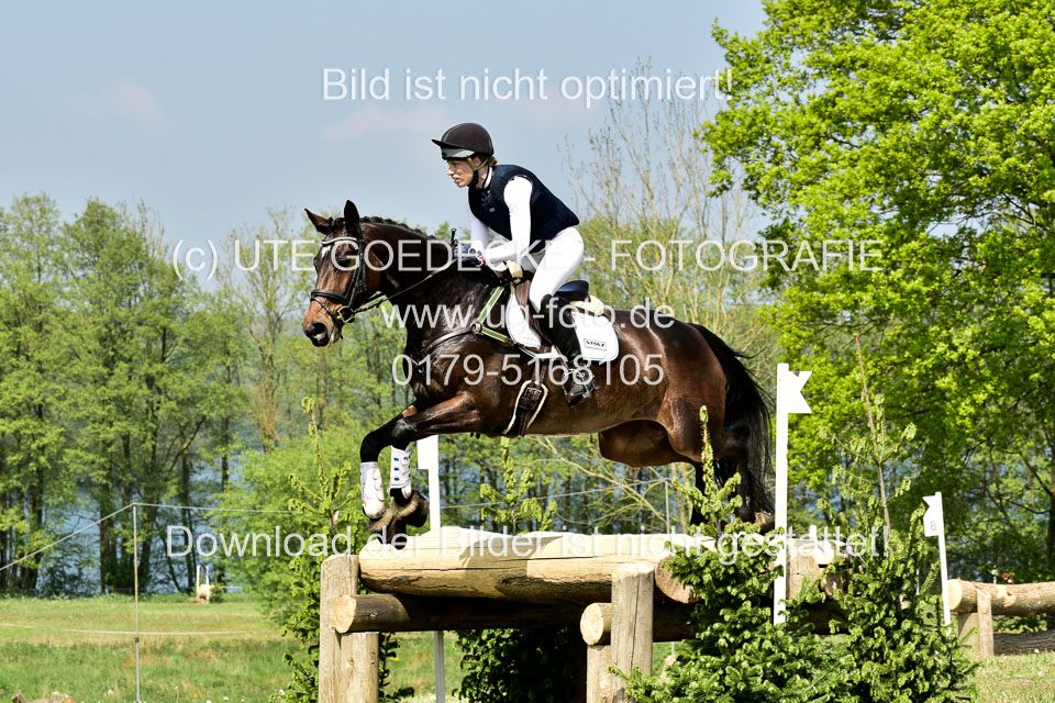 Geländepferde-Hornsmühlen-_128.jpg