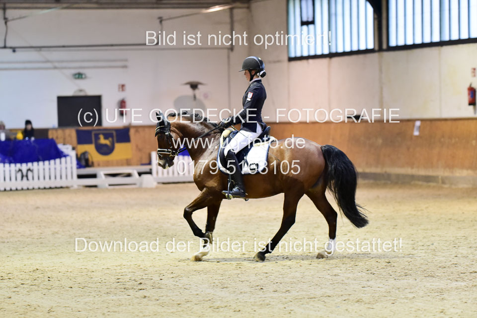 Dülffer,-Katharina---Prince-Dumas_5.jpg