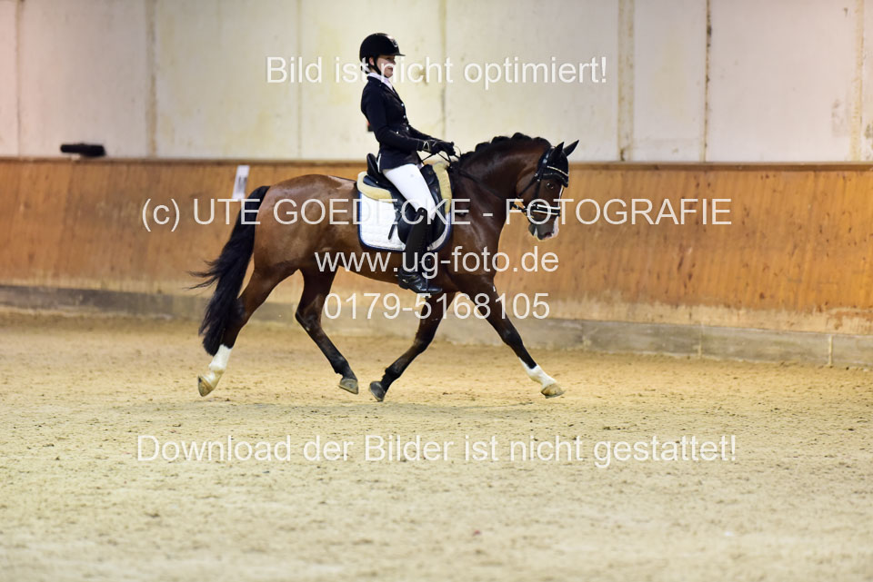 Dülffer,-Katharina---Prince-Dumas_8.jpg