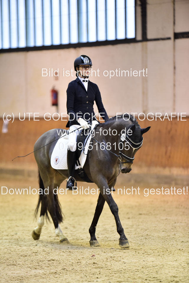 Gutsche,-Emilia---Reitlands-Don-Totilas_4.jpg