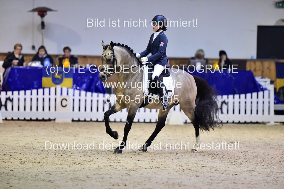 Göthling,-Fabienne---Nelson-King_4.jpg
